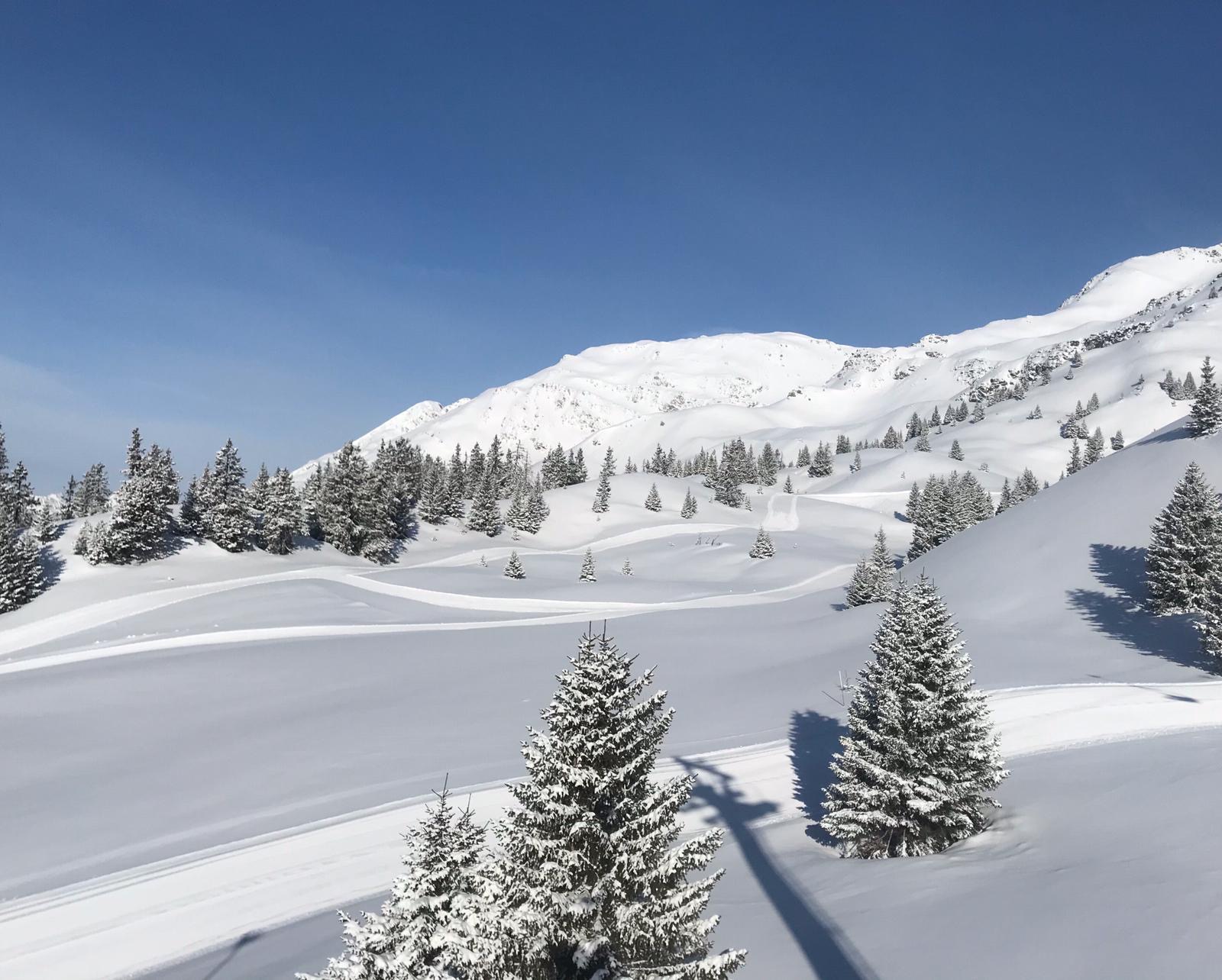 7112c945-aeb7-4b0f-b3c9-abc3321fb2f2